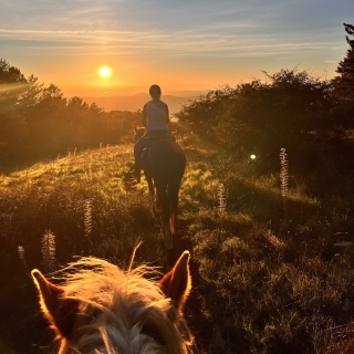 Full board 2 hours horse riding Castellanza