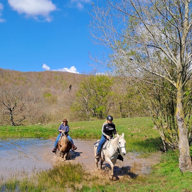 marche sur la rivière 