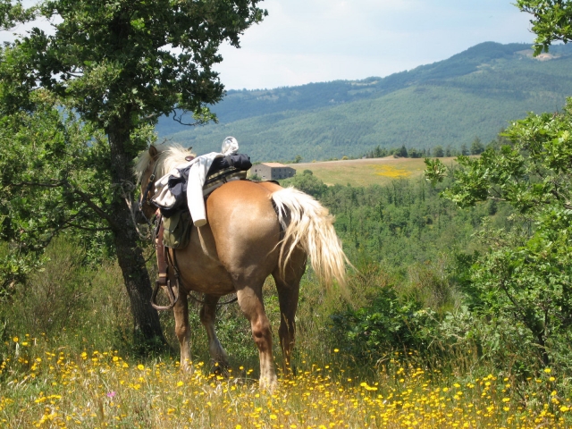  paseo por la naturaleza 