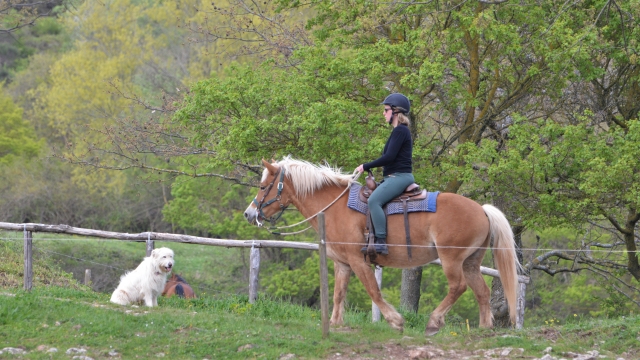  Reiten in der freien Natur