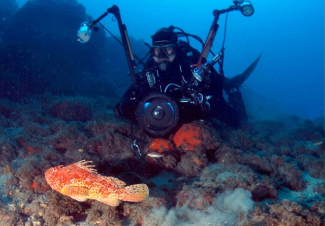  Cours de photographie sous-marine 