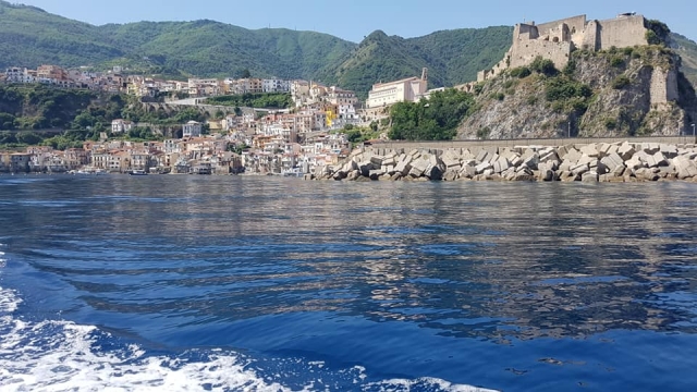  Partons explorer les fonds marins 