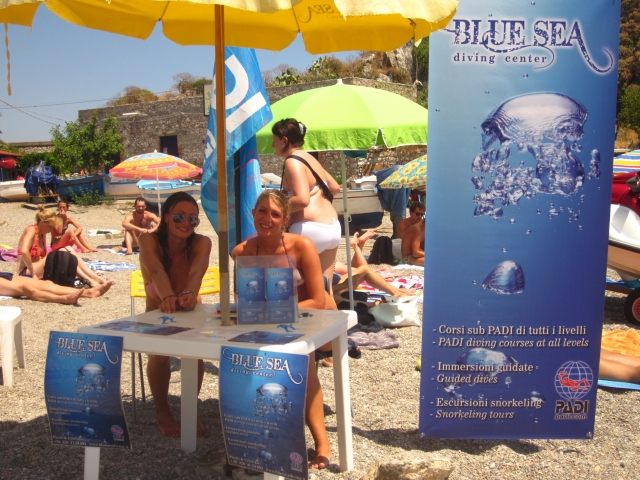  info desk 