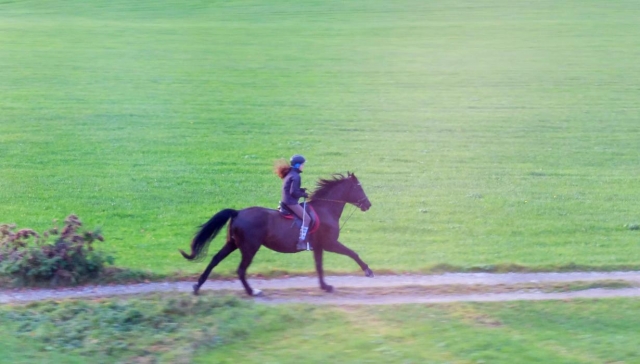 a caballo en el valle 