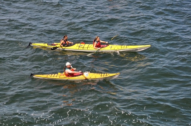  Paddling in company 