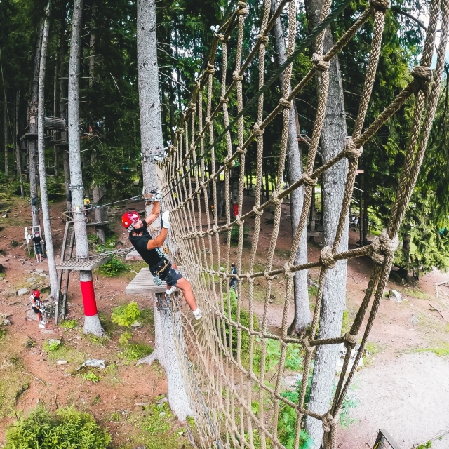 Te conviertes en escalador 