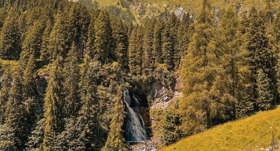 Parque Natural Adamello Brenta 