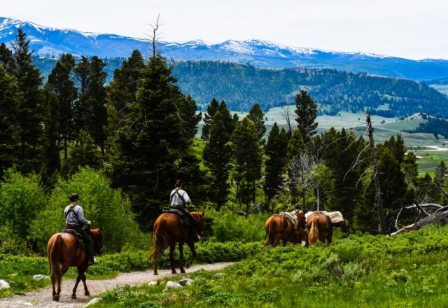  cheval et nature 