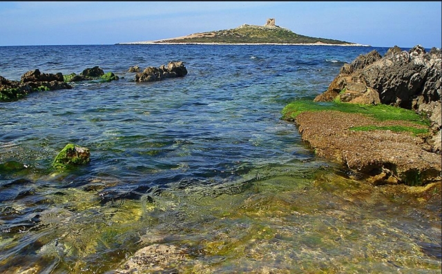  island of females 