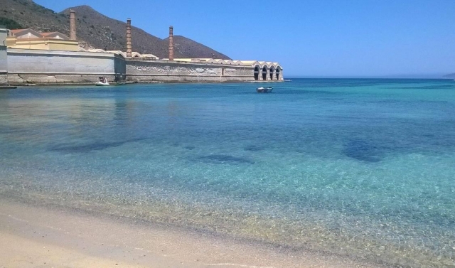  The beach of Favignana 