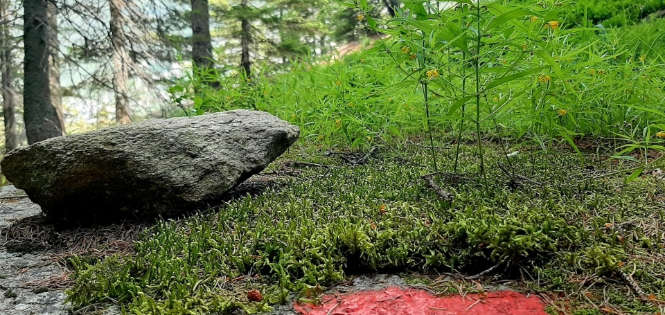 Os percursos que percorreremos 