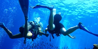 Appartement avec plongée sous-marine en juillet Ustica