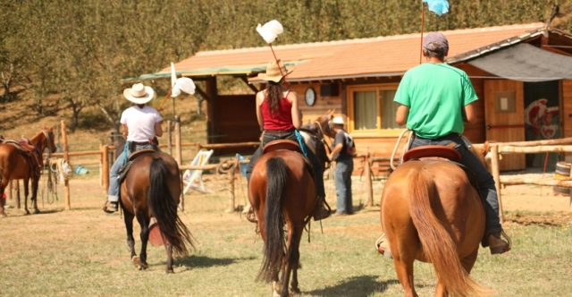  Chevaux