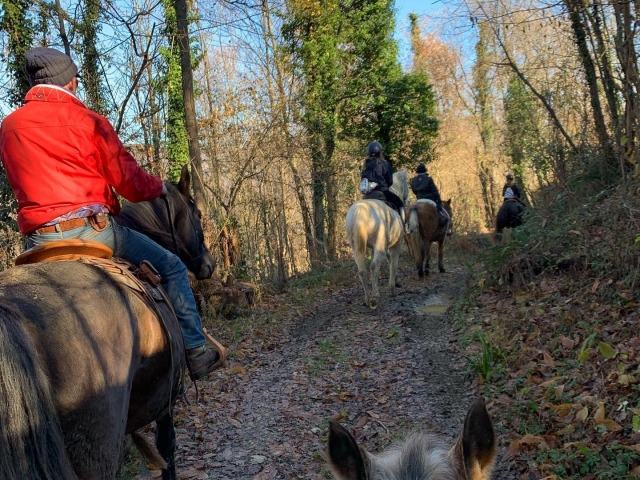 Oasi per cavalli e cavalieri