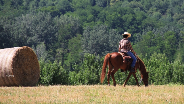 Equitazione etica in Lunigiana 2h