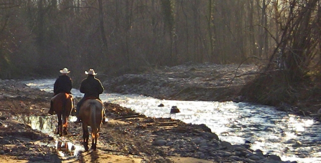 chevaux au bord de la rivière 