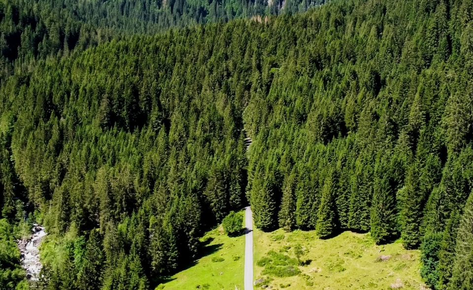Il Parco Naturale Adamello Brenta