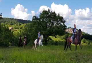 Paseo a caballo de 1 hora en Montieri.
