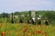 Passeggiate a Cavallo Montieri