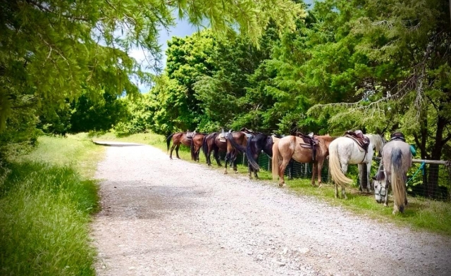  在大自然中放松休息 