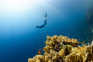 Curso de aguas abiertas Padi Alessandria