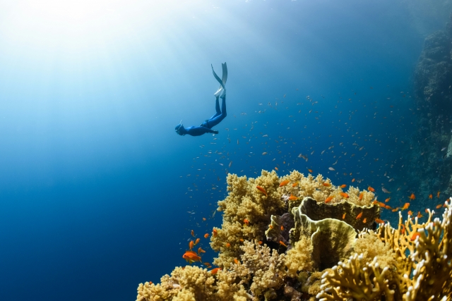 Padi Open Water Course Alessandria