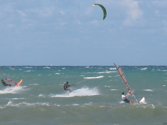  Kite passion