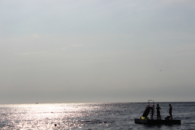 mare