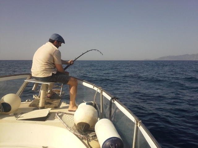  peixe 