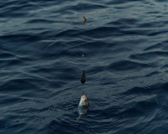 Pesca in barca weekend lungo Egadi ott-giu