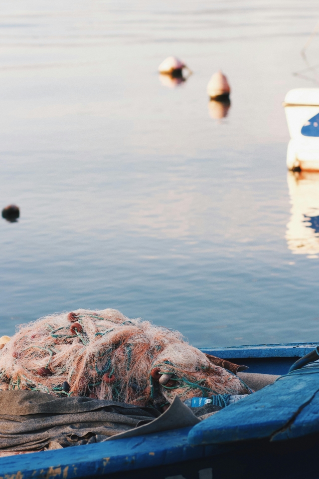 Settimana di pesca Isole Egadi ott-giu