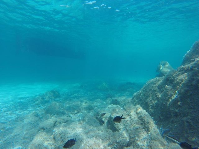  Les fonds marins de Sassari 