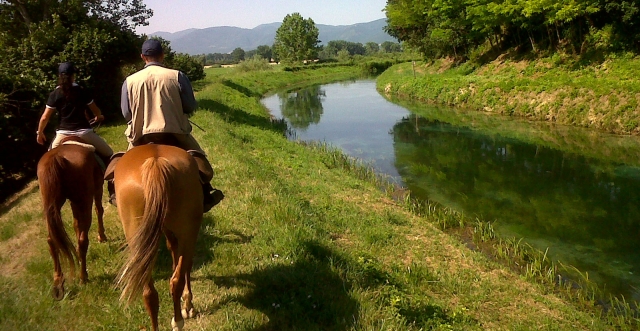 Passeggiata nella natura