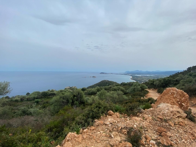  托尔托利全景