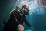 Curso Open Water Diver + especialidad Nitrox