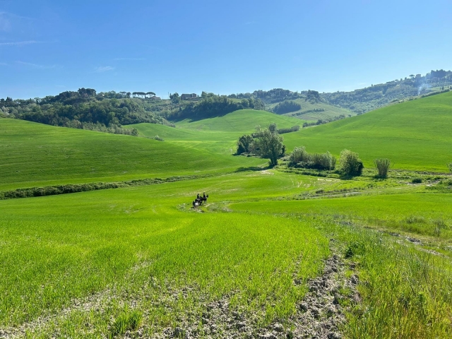 Nel verde, in escursione 