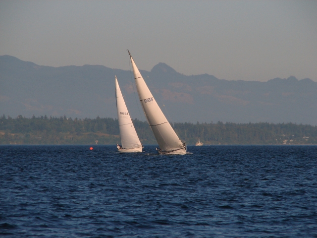 In regata