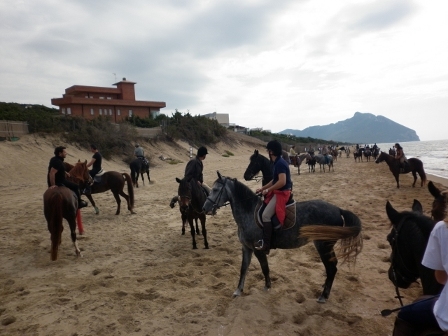 A cheval 