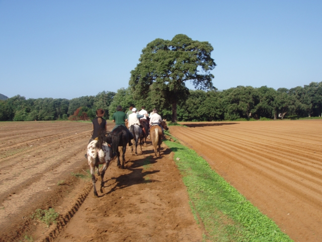  Parada de regreso para almorzar 