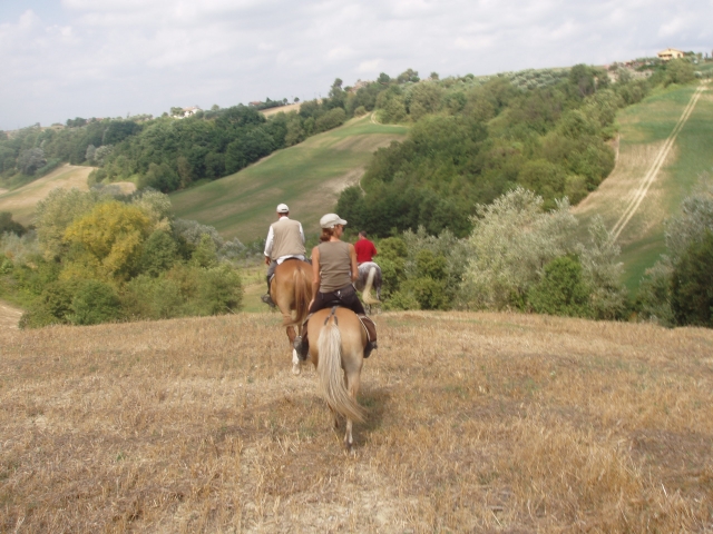  Paseos a caballo de dos horas 