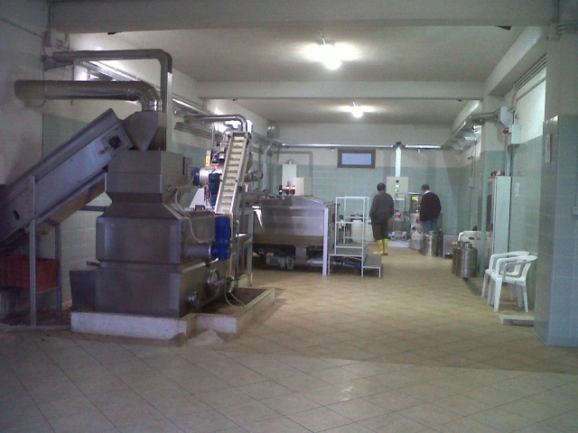  Visita a la almazara y cata de aceite 