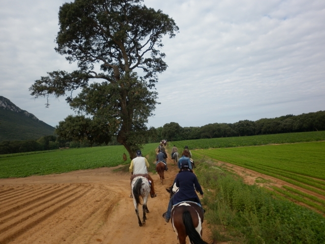  Rutas en el verde 