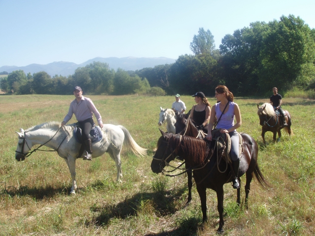  todos a caballo 