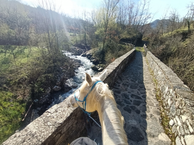 Horse ride in the mountains (2h), Lazio-Umbria