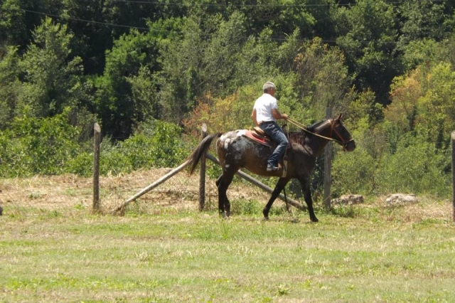 In sella nella natura