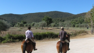 Fim de semana a cavalo no parque Maremma