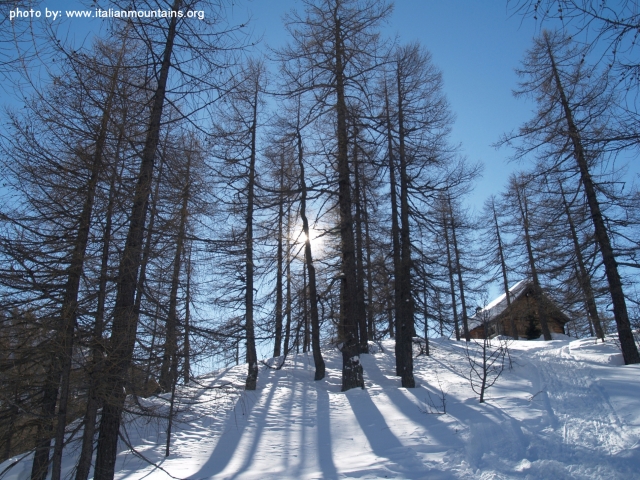  Alpe Devero 迷人松树林中的一个小避难所