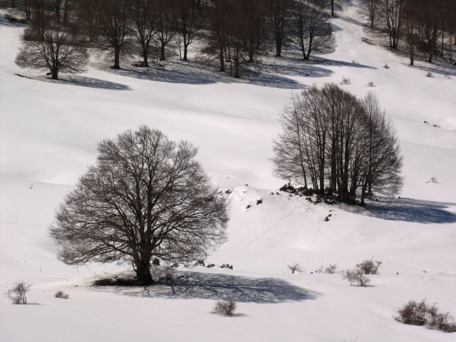 Inverno a Camposecco