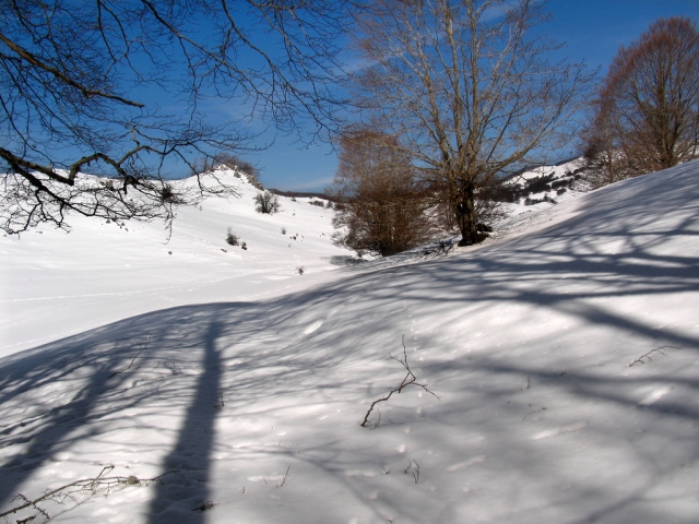 Percorsi nella neve