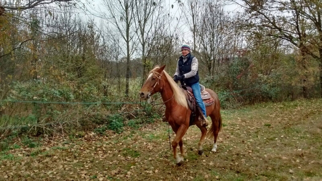  A caballo por el verde para un paseo 